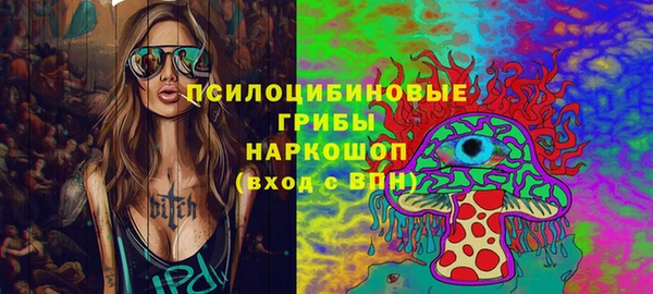 хмурый Абинск