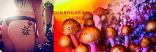 2c-b Абдулино