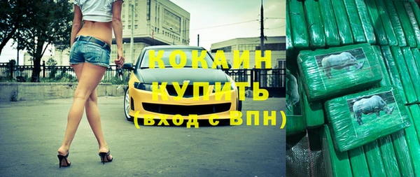 тгк Абаза