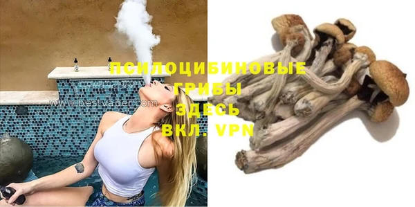 тгк Абаза