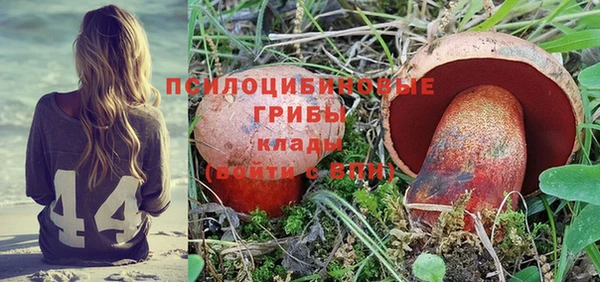 тгк Абаза