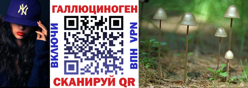 Псилоцибиновые грибы мухоморы  где найти наркотики  Тихорецк 