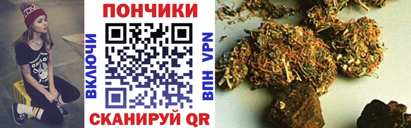 Конопля ГИДРОПОН  купить закладку  Тихорецк 